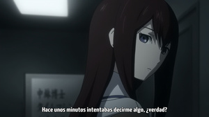 Inshuheki, Friki no Fansub: Steins;Gate
